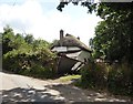 Collapsed shed at Northcott Cottage