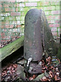 Pump in a derelict pump house, Rona Cliff Wood, Cawthorne