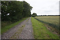 Sleights Lane towards Pear Tree Farm