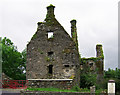 W0053 : Castles of Munster: Reenadisert, Cork by Garry Dickinson