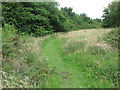 Path, Silverlink Biodiversity Park, Shiremoor