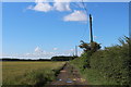 Bridleway heading South towards the A63