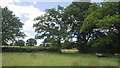 Corner of a grassy field