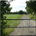 Lane to Ricketwood Farm