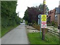 The lane to Thurgarton Quarters