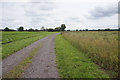 Farm track towards Hive Lane