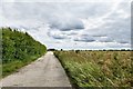 Cockfield: Public footpath/farm track