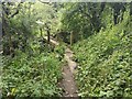 Footbridge near Holmefield Farm