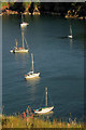 SX9364 : Yachts off Anstey's Cove by Derek Harper