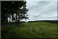 Hay field and telephone exchange