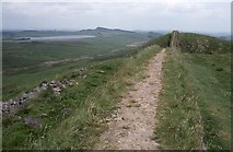 NY7868 : Hadrian's Wall approaching Cuddy's Crags by Philip Halling