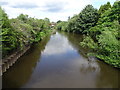 River Don in Rotherham