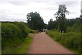 Waymarked paths, Blairadam Forest