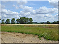 TL6733 : Farmland west of Finchingfield by Robin Webster
