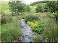 Junction of Rowhope and Trows Burn Near Rowhope