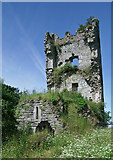 R4354 : Castles of Munster: Shanpallas, Limerick (2) by Garry Dickinson