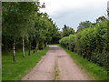 Footpath from fishing pond, Birds Green