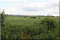 Fields by Park Lane, Wood End