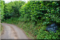 Chew Stoke : Country Lane