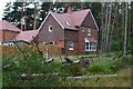 Modern housing development on the edge of Ringwood Forest