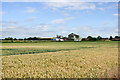SE3871 : Field on east side of Boroughbridge Road by Trevor Littlewood