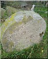 Boundary Stone with OS Rivet