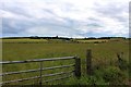 Grazing by New Kendal