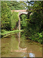 SJ6931 : Hollings Bridge in Woodseaves Cutting, Staffordshire by Roger  Kidd