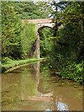 SJ6931 : Hollings Bridge in Woodseaves Cutting, Staffordshire by Roger  D Kidd