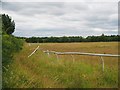 Abandoned gallop track