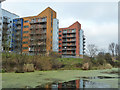 Flats, Maltings Close. Bow