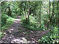 Cyffordd o lwybrau / Junction of paths