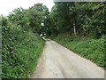 Hoddy Cows Lane, heading north from Buckton