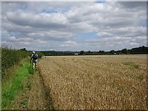 SO8890 : Field Path by Gordon Griffiths