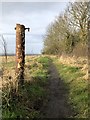 Footpath, Binchester