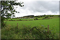 Tursallagh Townland