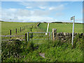 Bridleway off Lee Lane, Dunford