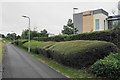 Sculpted hedges on Oxford Business Park