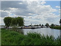 TL5374 : River Cam meets River Great Ouse by Matthew Chadwick