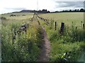 Path to Carneddans Road