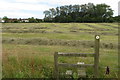 Stile on the footpath into North Marston