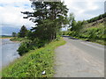 Road (B976) beside the River Dee