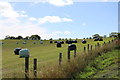 Silage at Kirkchrist