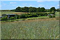 Fields beside the A338 north of Allington