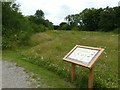 SK6144 : Gedling Country Park, butterfly walk by Alan Murray-Rust