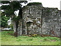 N8056 : Castles of Leinster: Trim, Nangle's Castle, Meath (1) by Garry Dickinson