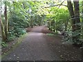 Path through Craigton Wood