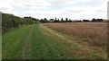 Bridleway nearing Hethe Brede