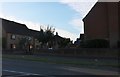 Houses by Norwich Road, Watton