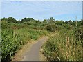 Overgrown path